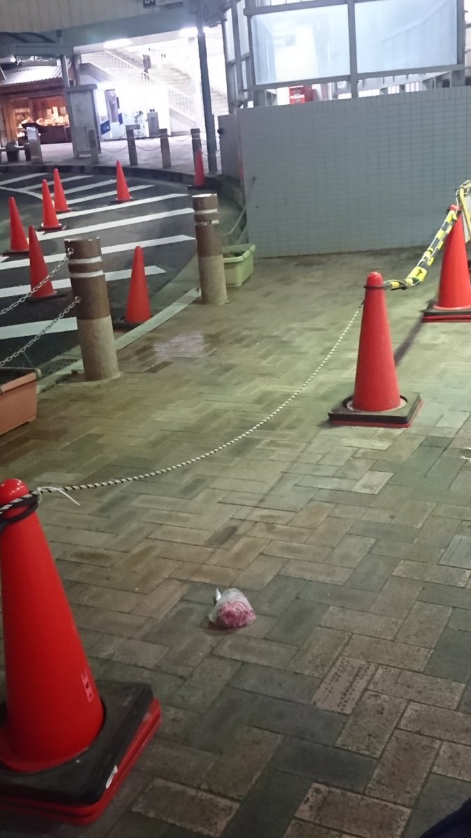 マエム 拡散希望 Jr立花駅タクシー乗り場で牛肉 0 くらいかな 落とされた方 今日はお肉無しの焼肉ですか すき焼きですか 今ならまだ食べれそうです とりあえずそのまま放置してきたので明日の朝カラスにつつかれる前に取りに行ってください マエム 拡散希望 Jr立花駅タクシー乗り場で牛肉 0 くらいかな 落とされた方 今日はお肉無しの焼肉ですか すき焼きですか 今ならまだ食べれそうです とりあえずそのまま放置してきたので明日の朝カラスにつつかれる前に取りに行ってください