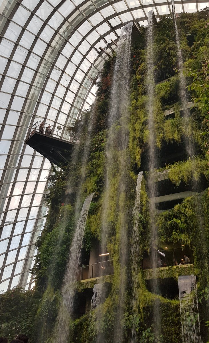 ValCardoz's tweet image. It seems that with the climate change effects we will be able to enjoy #cloudforests only in these #GHG- like glass domes @GardensbytheBay 😍😍