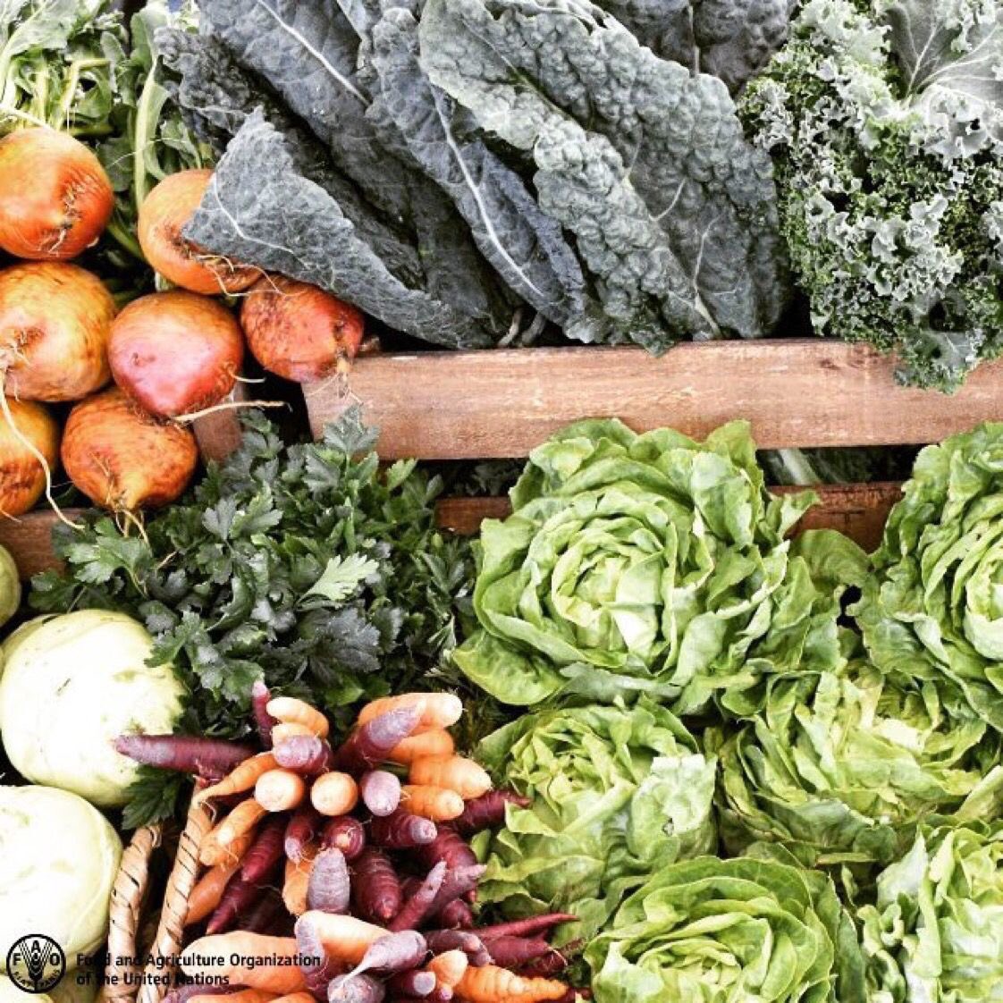 The choices we make today will determine our #FutureofFood. 

A few actions we can all take:

👉Reduce your #foodwaste
👉Support your local farmers
👉Adopt a more healthy and sustainable diet

Respecting our food for a #ZeroHunger 🌍