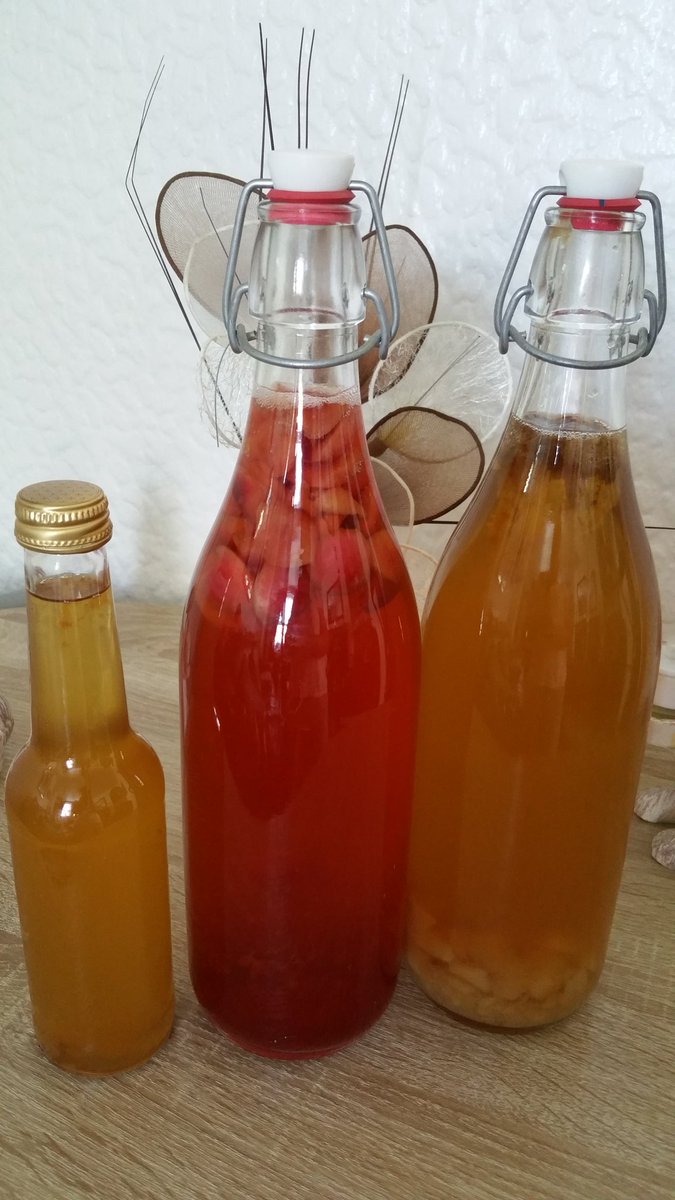 thevegansnuts's tweet image. My kombucha has been carbonating for two days now so it's ready to be refrigerated. I'll try it tomorrow when it's nice and cold💞😊😍🍾 so happy now that I can make my own kombucha😊 #kombucha #homemadekombucha #fermentedtea #probiotics #vegan #govegan #happy #homemade #Healthy