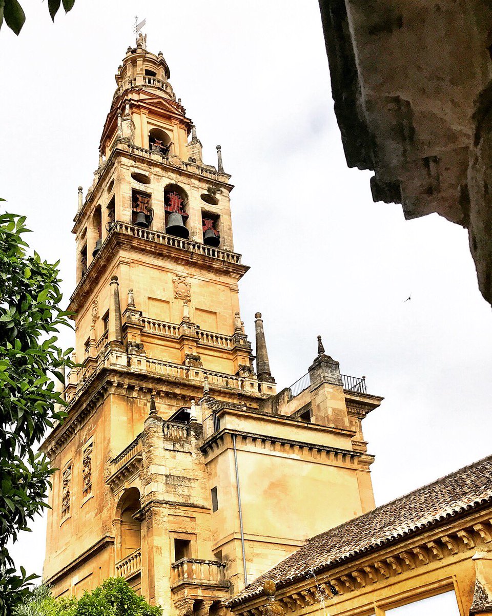 leesilk527's tweet photo. first a church, then a mosque, then back to a church...safe to say this history teacher is prettttty excited 👩🏼‍🏫👏🏻🇪🇸 #seehistory #experiencehistory #teachhistory #cordoba #spain #lamezquita #epmsteacher #bcsteacher https://t.co/sN3FW9nffs