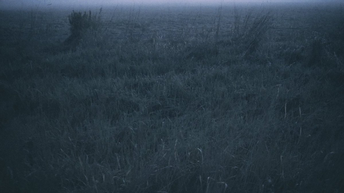 chaoskeeper tweet media