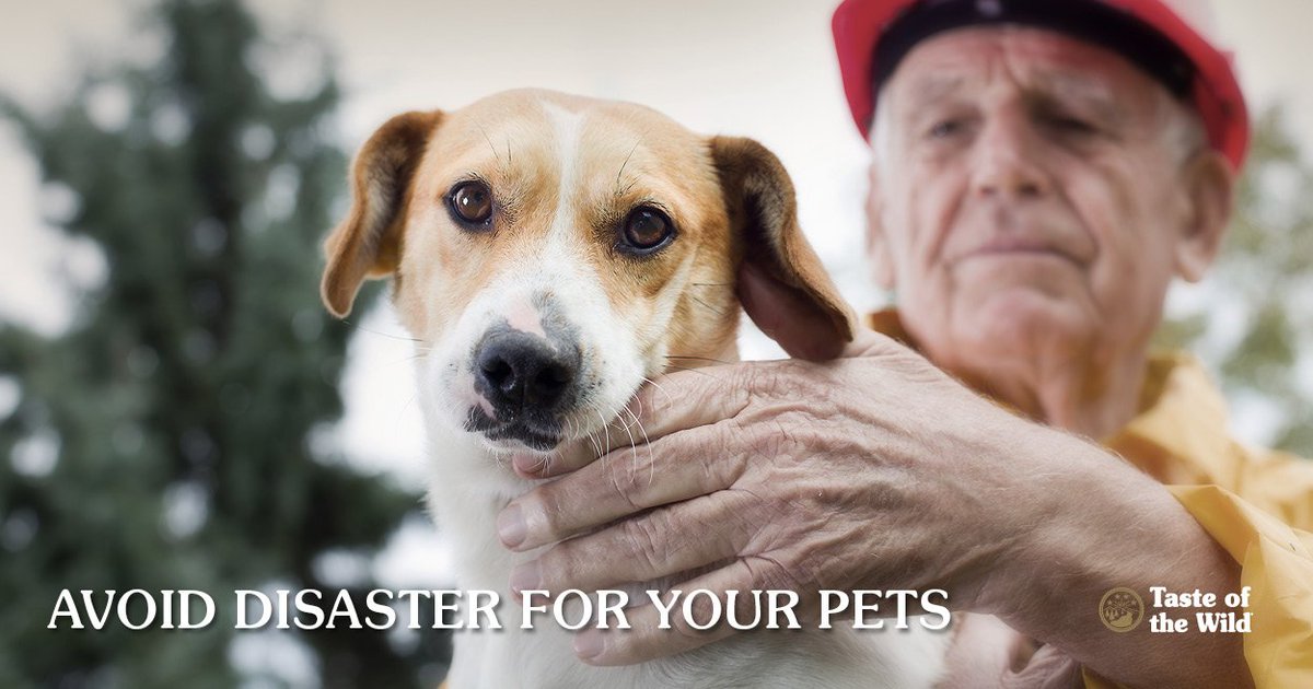 totwpetfood's tweet image. It's that time of year for many people in the United States when #severeweather hits. Do you have a #disasterplan in place that includes your #pets? tasteofthewildpetfood.com/disaster-plan-…