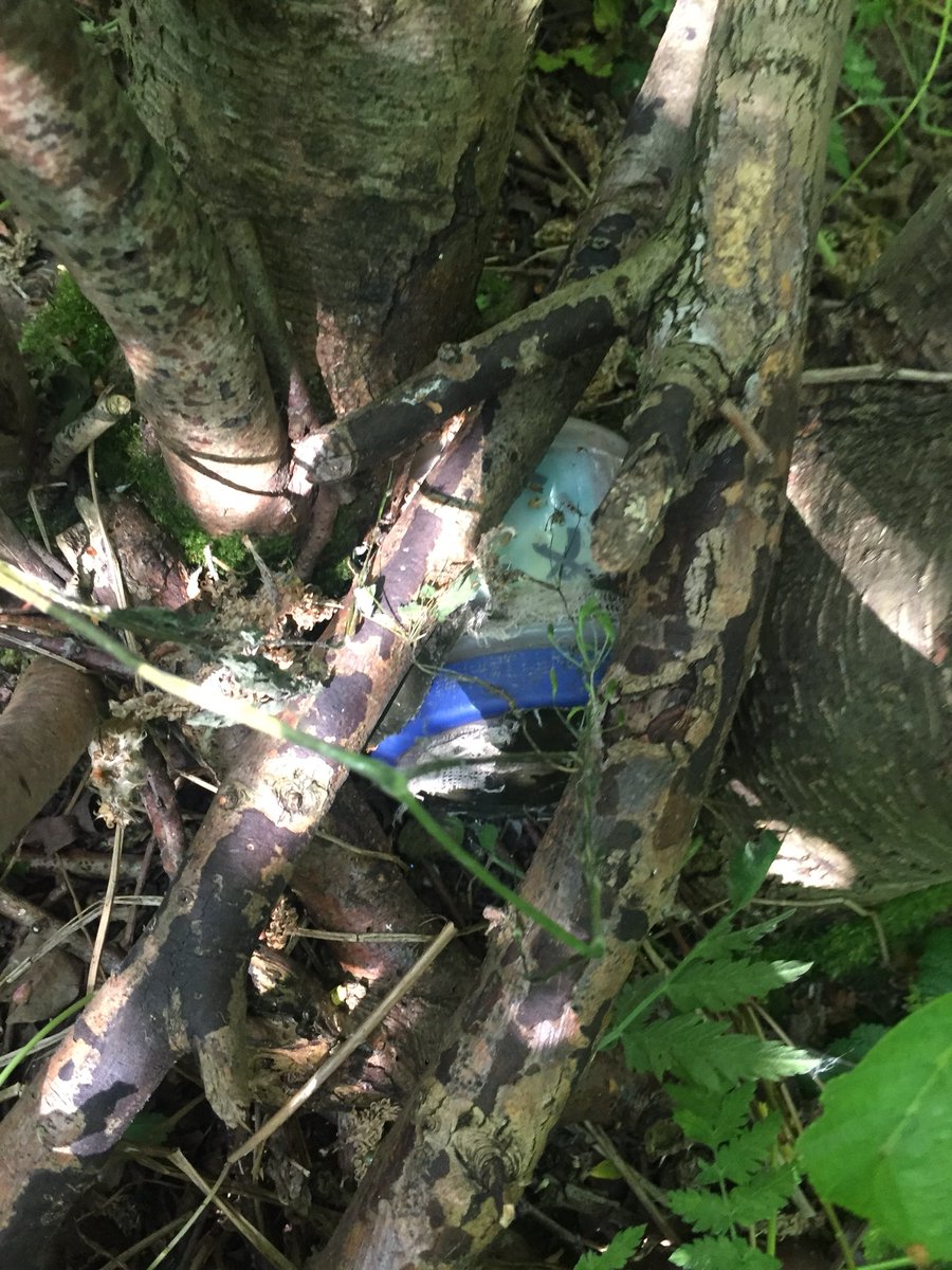 annabel_keenOT's tweet image. Geocaching #OTComm