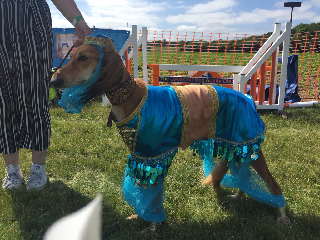 SYMutt2016's tweet image. Our winner of the fancy dress, Henna the Arabian princess 👑