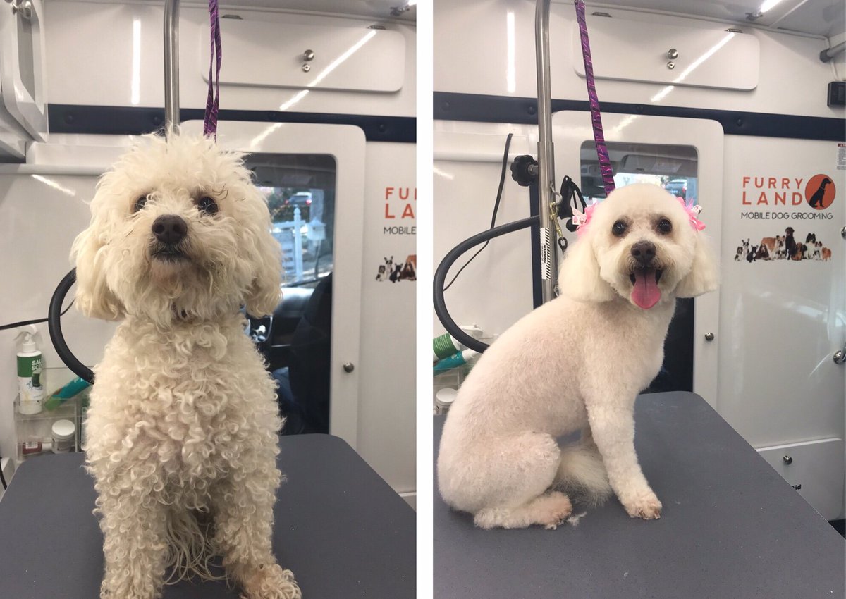 furry land mobile grooming