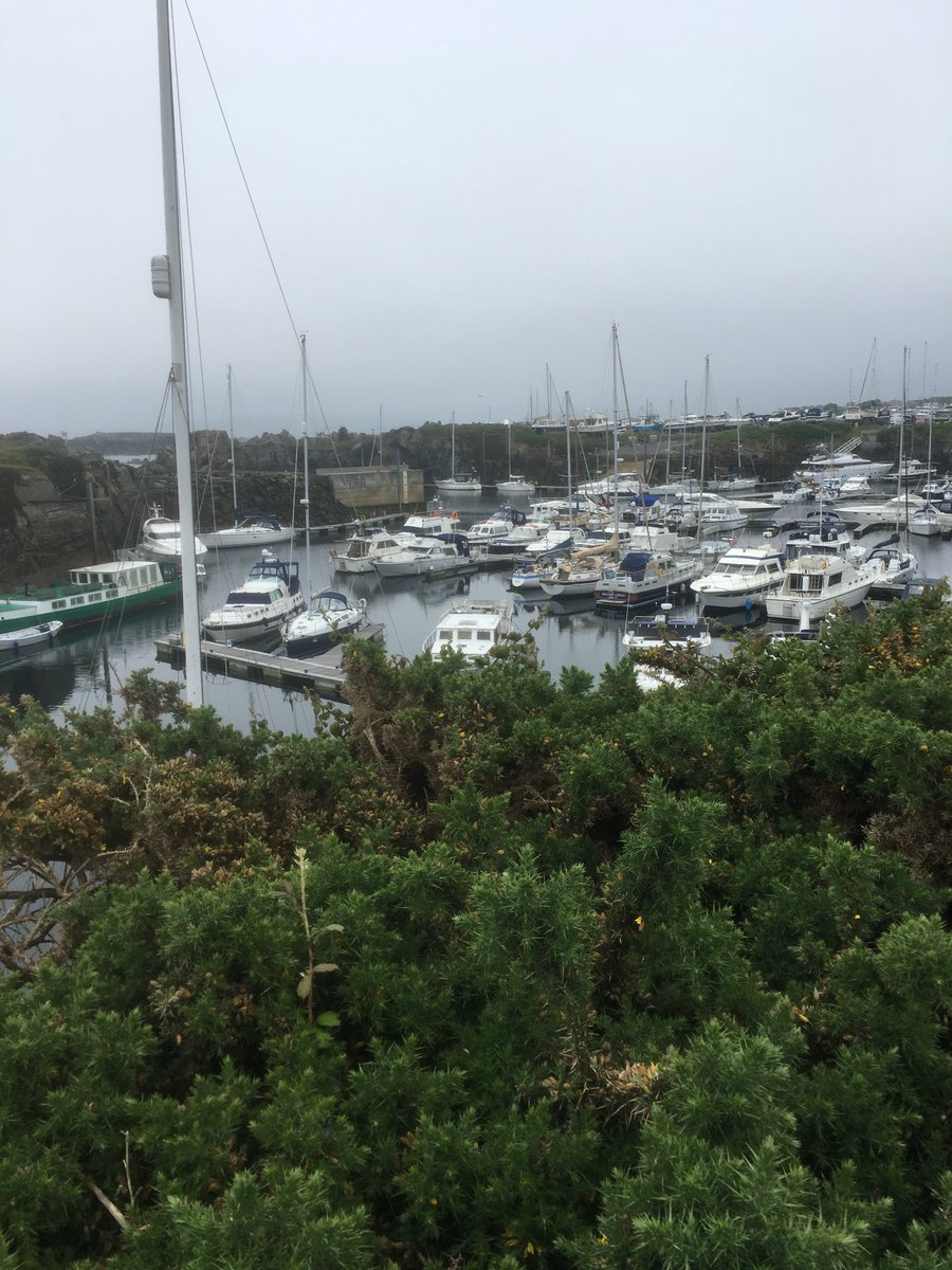 GuernseyWander's tweet photo. Walk 14.
Pembroke Bay to Bordeaux Kiosk.
Perry’s P6C2 to P11G2
Coastal and urban paths.
Allow 1.15 to 1.30 minutes/medium pace.
Great sea views and tranquil country lanes.
Buses, 91, 92.
Super Kiosks, Beacette Marina, views across to other islands,
Bordeaux Harbour. https://t.co/4DMSTg0hdD
