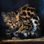 Photo by Лучшие фотографии (@BestFotoRu)