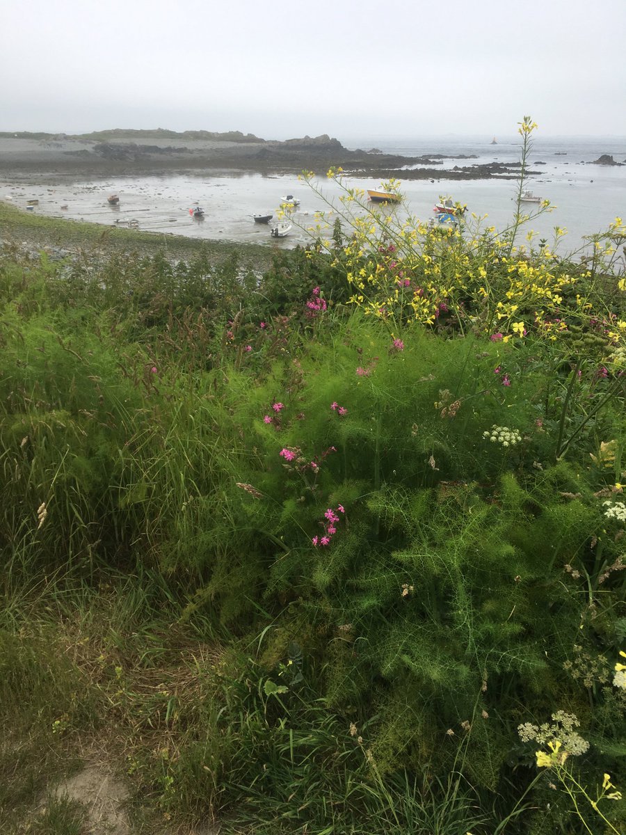 GuernseyWander's tweet photo. Walk 14.
Pembroke Bay to Bordeaux Kiosk.
Perry’s P6C2 to P11G2
Coastal and urban paths.
Allow 1.15 to 1.30 minutes/medium pace.
Great sea views and tranquil country lanes.
Buses, 91, 92.
Super Kiosks, Beacette Marina, views across to other islands,
Bordeaux Harbour. https://t.co/4DMSTg0hdD