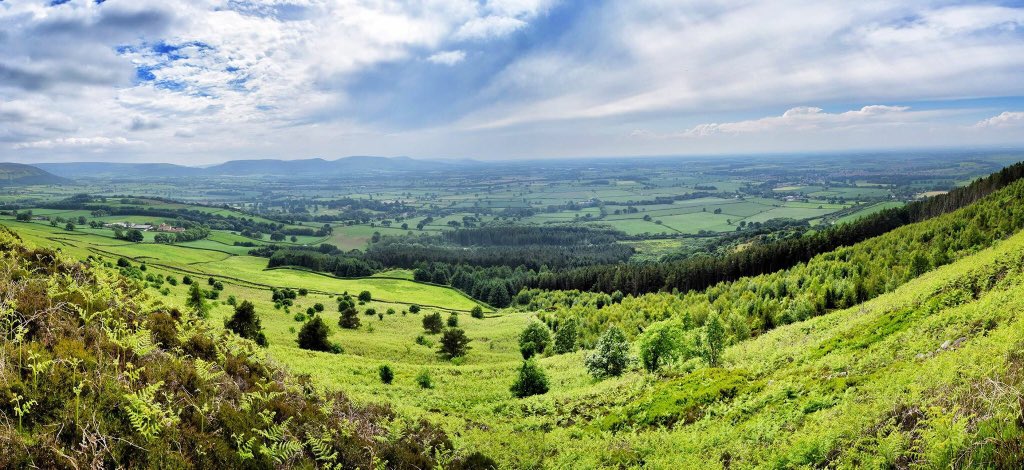 Simon Clayton tweet media