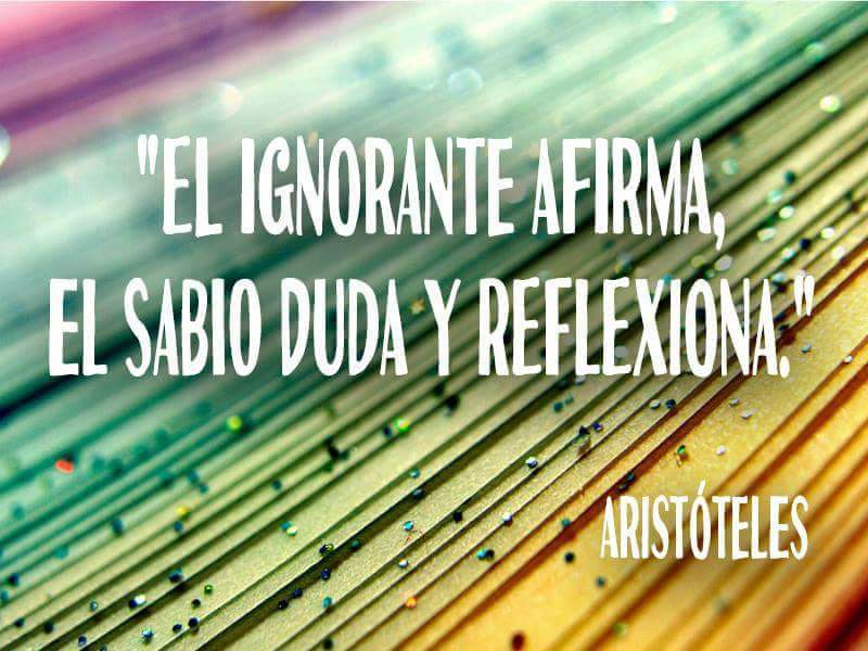 Proyecto Dominó (@proyectodomino1) on Twitter photo 