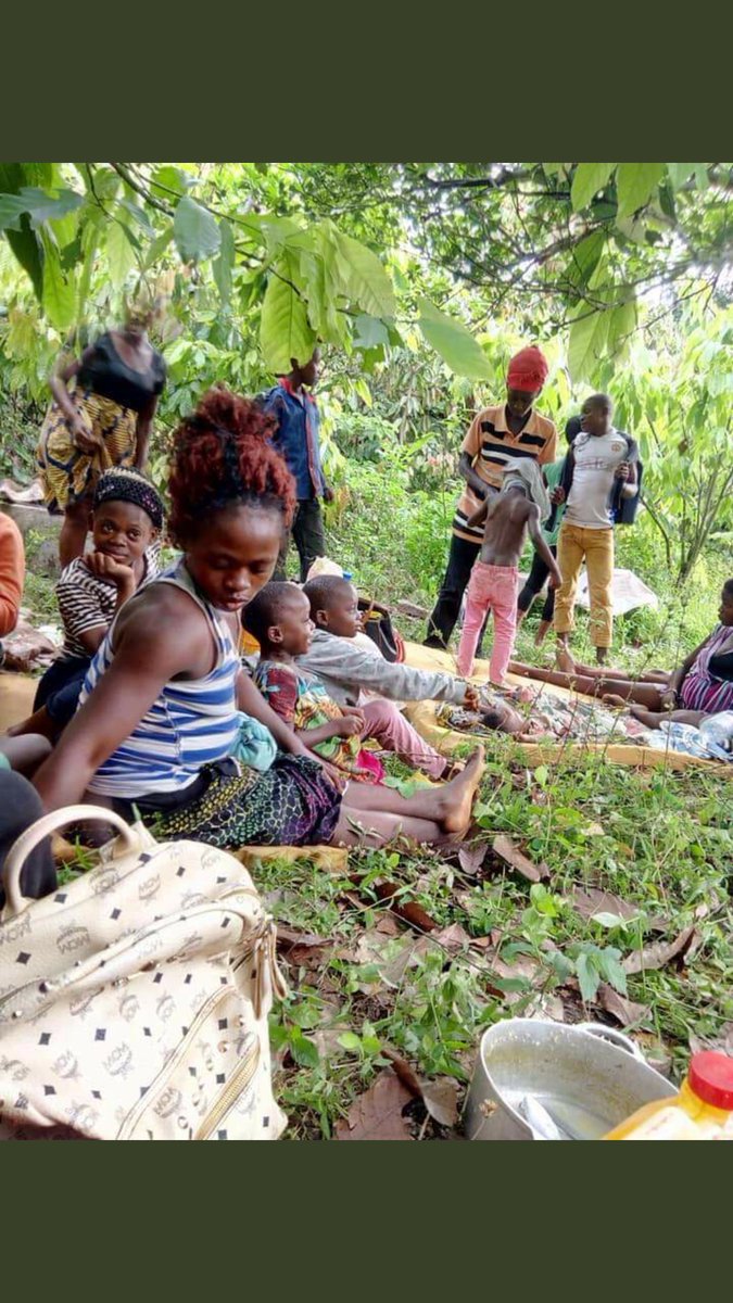 PikinAmba's tweet photo. To the minister of economy #paultasong of #BiyaRegime is this a new farming method in la Republic du cameroon since u told journalist in Buea that the people are not in the bushses only farmers goes to the bush. @CRTV_web @LeahHardingAJE @billyb2009 @CNNAfrica @BBCAfrica @UN https://t.co/rNWScT77O2