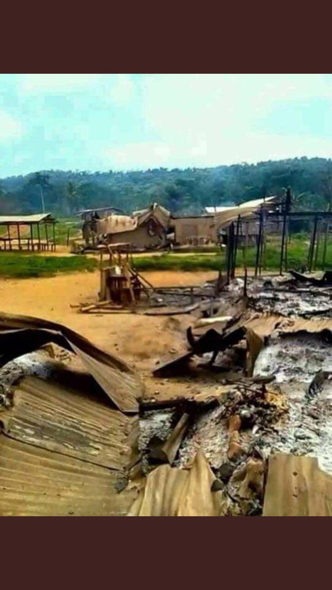 PikinAmba's tweet photo. To the minister of economy #paultasong of #BiyaRegime is this a new farming method in la Republic du cameroon since u told journalist in Buea that the people are not in the bushses only farmers goes to the bush. @CRTV_web @LeahHardingAJE @billyb2009 @CNNAfrica @BBCAfrica @UN https://t.co/rNWScT77O2