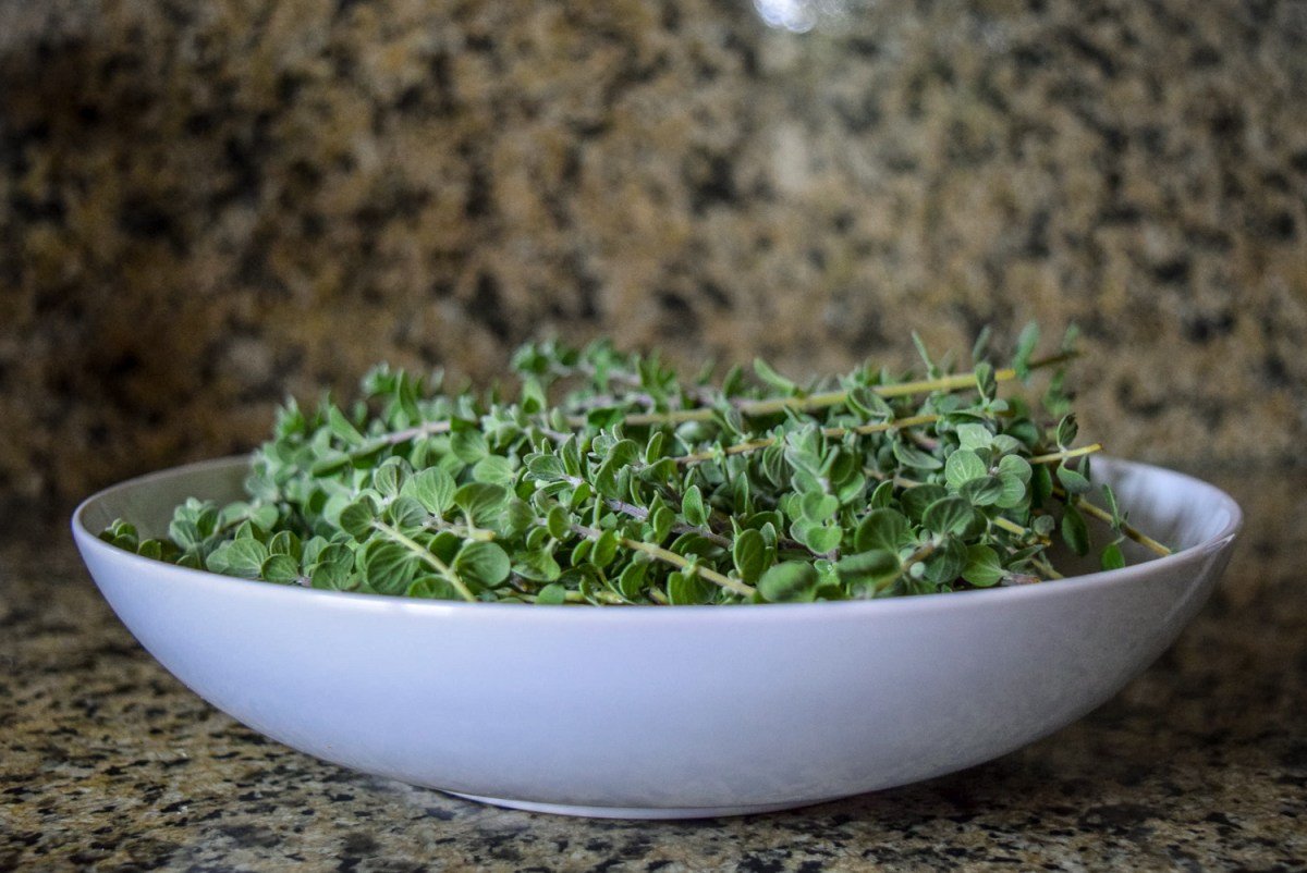 upasigoblog's tweet photo. Marjoram is such a great herb. It is easy to grow at home and works as a staple ingredient in marinara sauces and more.
.
https://t.co/qr6rnShEaJ
Check out how I used homegrown marjoram in this Vegan Marjoram Pea Pesto from https://t.co/qNiYSV4pLO #upasigo
#marjoram #urbangarden https://t.co/y26zvKQpiR