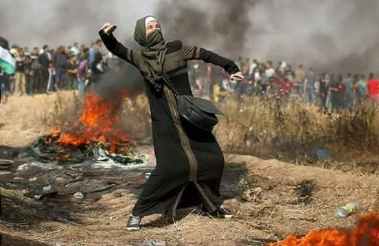boussadamar's tweet photo. #خليها_طرونكيل
#لن_أحمي_المتحرشين_بعد_اليوم
الصورة الأولى لفتاة فلسطينية محجبة تدافع عن أرضها.
الصورة الثانية لفتيات من العاصمة تدافعن عن .....😳
واش جاب الشوك لحب لملوك https://t.co/BXYIkeYDk5