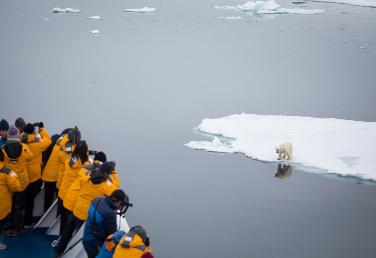 QuarkExpedition's tweet photo. Book an #ArcticExpedition before June 22, 2018 and enjoy great savings on ship-based itineraries, with up to 30% off select voyages! Choose your adventure ๐ https://t.co/aCCdKzt1K8 #ExploreTheArctic #DealAlert @TravelPulse https://t.co/bElsG5vcOe