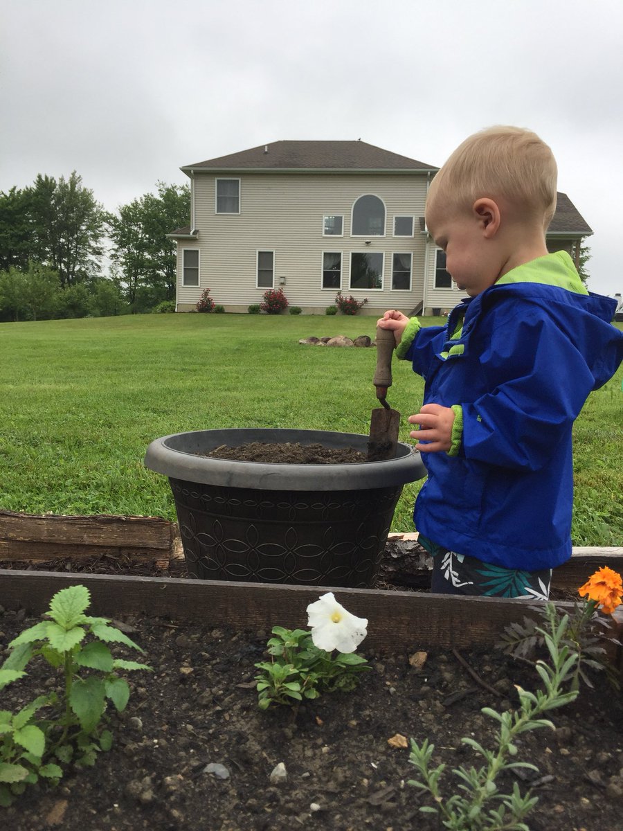 Kenfish3's tweet photo. My little helper in the garden this morning #littlegreenthumb #donteatit #plantitdontpickit https://t.co/zk80qAmuyb
