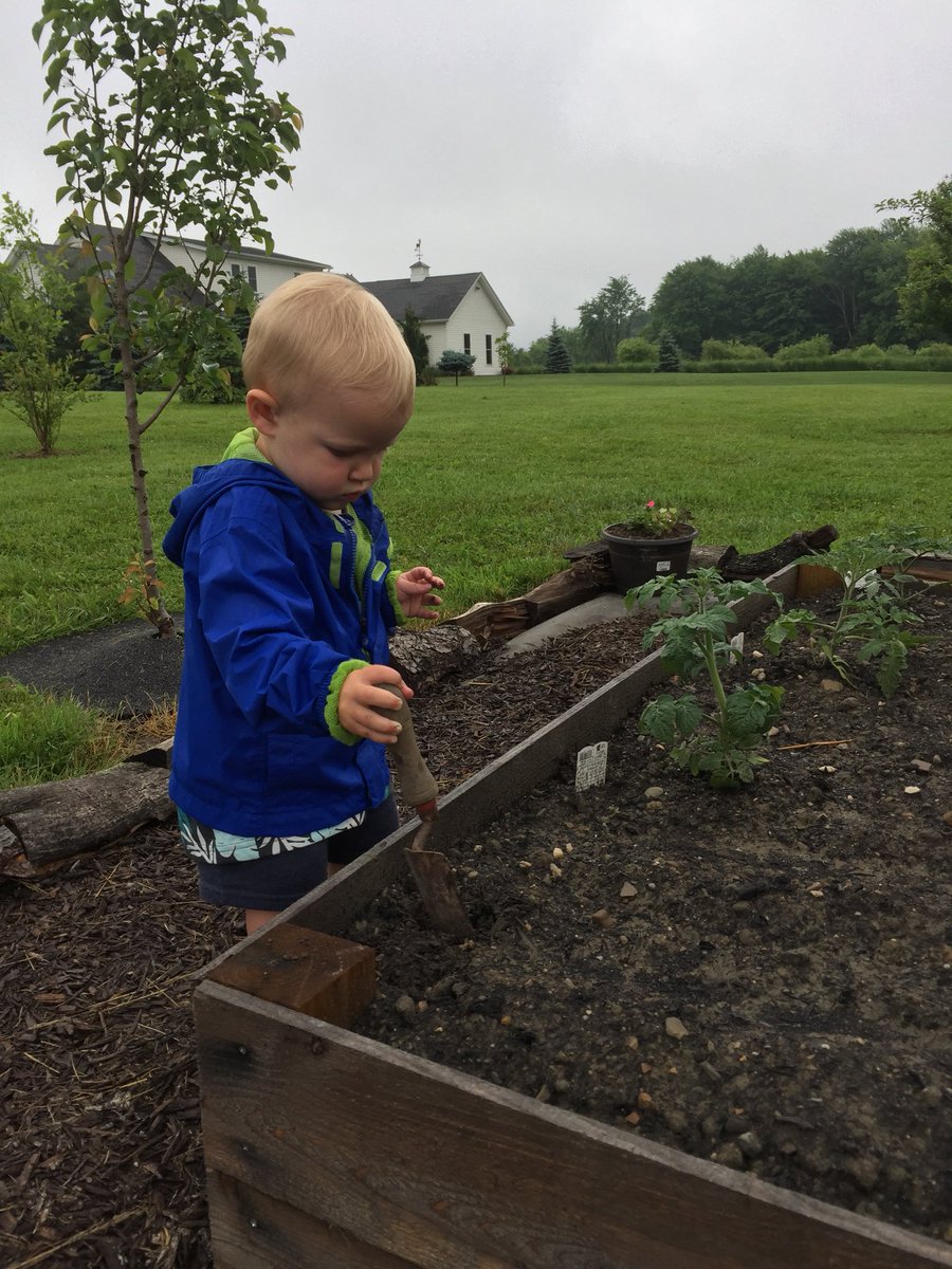 Kenfish3's tweet photo. My little helper in the garden this morning #littlegreenthumb #donteatit #plantitdontpickit https://t.co/zk80qAmuyb