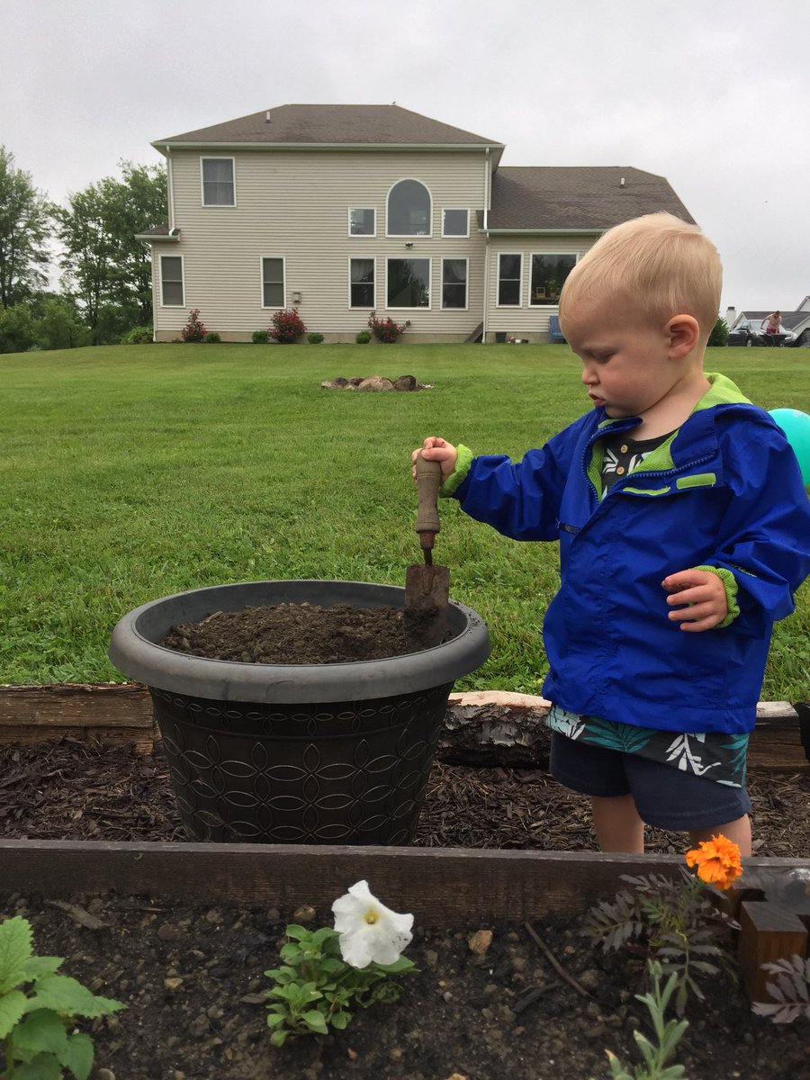 Kenfish3's tweet photo. My little helper in the garden this morning #littlegreenthumb #donteatit #plantitdontpickit https://t.co/zk80qAmuyb