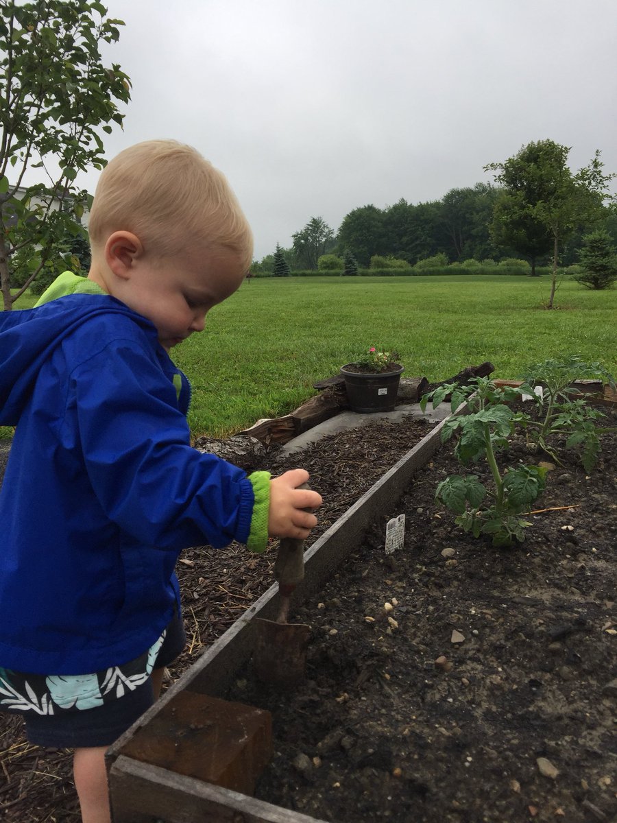 Kenfish3's tweet photo. My little helper in the garden this morning #littlegreenthumb #donteatit #plantitdontpickit https://t.co/zk80qAmuyb
