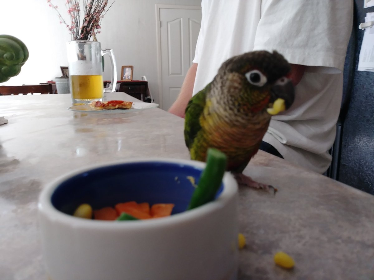 SkittlesMarie5's tweet photo. I 💙 vegetables!  #Cornismyfavorite https://t.co/tanW5YoYq0