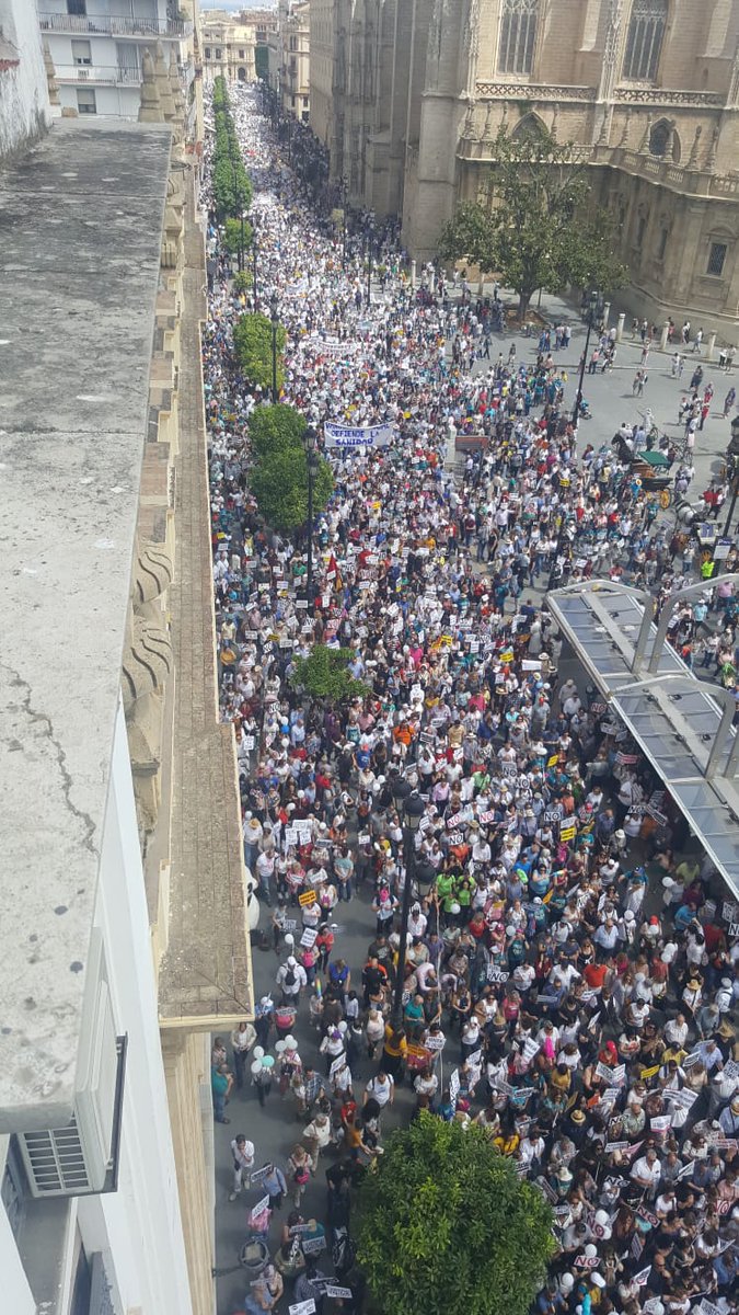 13mescribano's tweet photo. Aunque @susanadiaz no se lo crea, han venido personas desde Ginebra, Barcelona, Fuerteventura, Madrid, Alicante, y otras muchas ciudades y pueblos de fuera y dentro de Andalucía.
El SAS necesita mucha higiene, y el primer paso es desinfectar...¿para cuándo?
#sanidadpublicadigna https://t.co/ZazTATvlhg