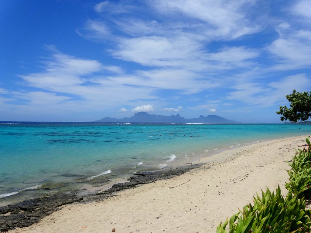 iaorana_agency's tweet photo. Notre bonheur, c'est vous donner l'impression d'être au paradis :D
https://t.co/x8adcVeq3Q
#commentaire #paradis #happy #clientHappy #merci #SunsetBeachCarlton https://t.co/PrxdOlbWlr