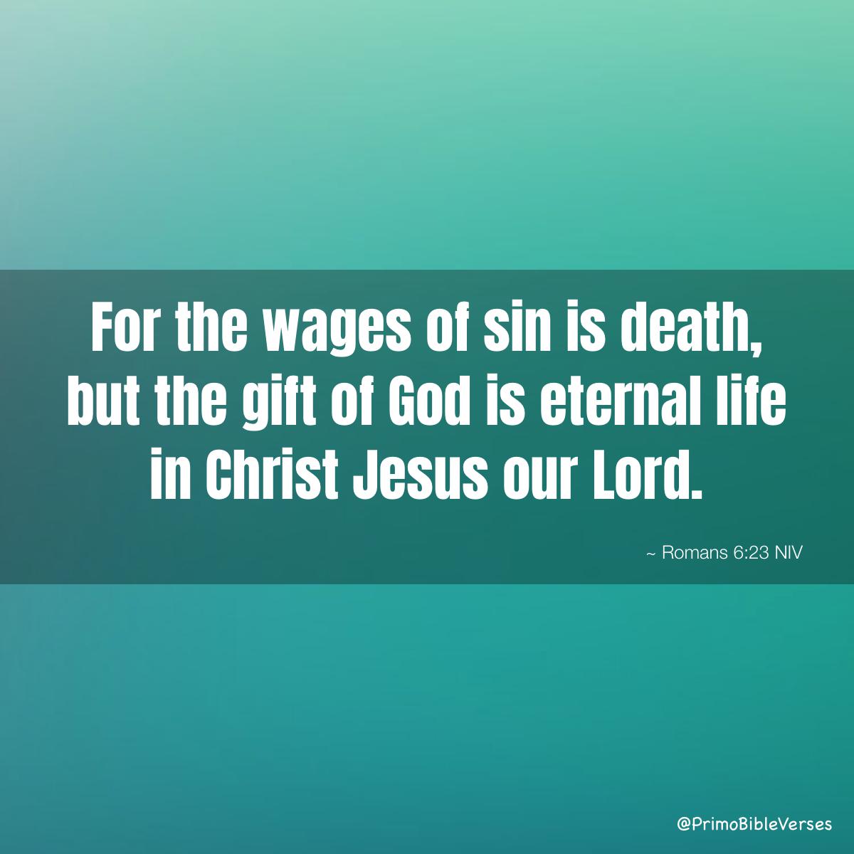 PrimoBibleVerse's tweet photo. Romans 6:23 NIV #bible #bibleverses  #Romans #FindingLifesMeaningVerses  #LeadVerses  https://t.co/YRpD7nuU7b https://t.co/g7vUTswTUG