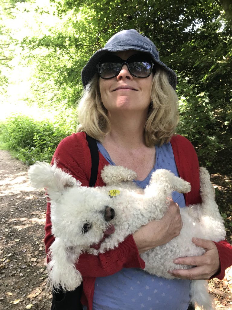 This is how I like to go for a walk! #mommasboy #walkies #carryme #bichon #oneeye #rescuedog #happiness #love #puppyfarmsurvivor