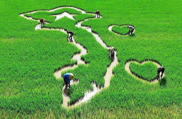 Lê Ngọc Bách tweet media