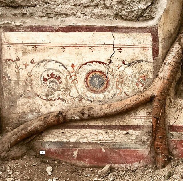 DimitriTilloi's tweet photo. Une image des fresques en cours de dégagement dans la région V de Pompéi #archéologie #Pompéi https://t.co/EfWnBTR6JF