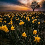 Photo by Лучшие фотографии (@BestFotoRu)