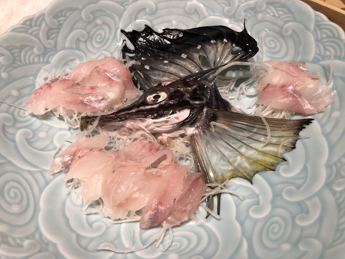 田中俊之 出張のたびに 各地で2歳の子どもへのお土産として靴下を買っています16 北海道 Jr北海道 のicカードkitacaのキャラクター エゾモモンガの靴下 夜は講演会に呼んでくださったみなさんと食事 新鮮な八角のお刺身をいただきました 店主さん