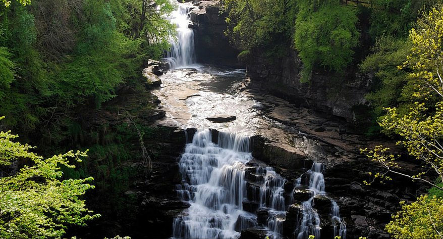 186DiaZ's tweet photo. Ahhh, fresh spring water. https://t.co/PjxsnI8pnU