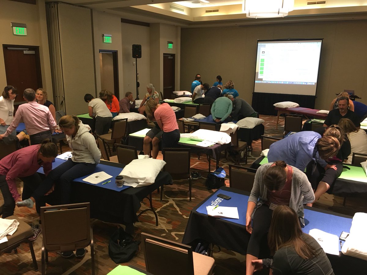 EliseWendorfDPT's tweet photo. Practicing structural differentiation in LE Neurodynamics with the incomparable Michael Shacklock! #Align2018 https://t.co/AyP0m2B4gb