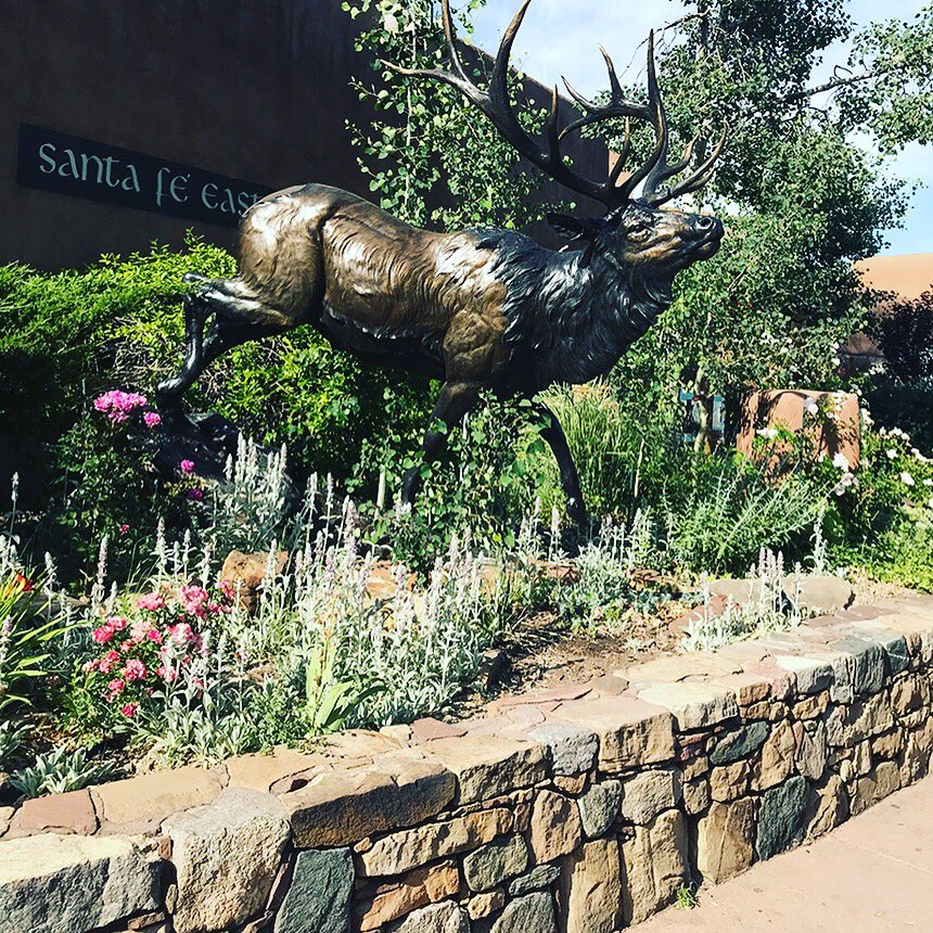 jamestownking's tweet photo. #RaceUpdates 6/9/18: "#TeamRuff It was a great rest day in Santa Fe! Our hotel is nice, and the people here really like dogs...” SUBSCRIBE HERE: https://t.co/jFL3V6J6Qs. Follow us on Facebook &amp; Instagram #Drive4StageIV. Learn more HERE: https://t.co/yb5CSaSJgm! @metavivor https://t.co/H9Wis9wsDE