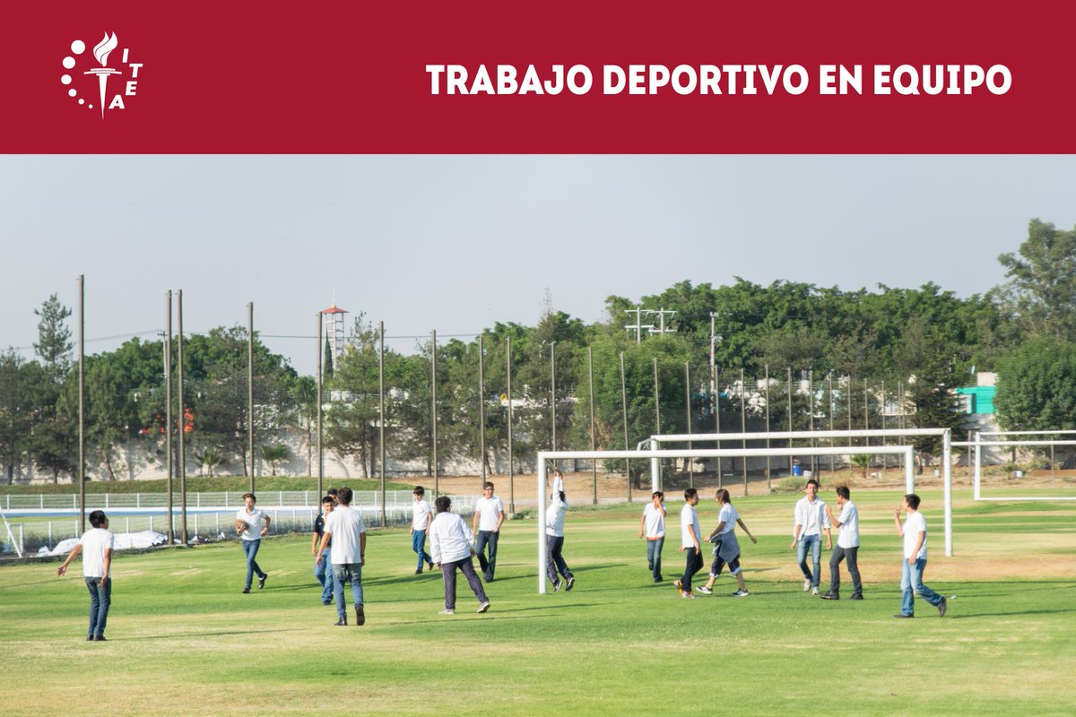 EDU_ITEA's tweet photo. Durante los #recesos y #talleres nuestros #alumnos se esfuerzan trabajando en #equipo para #ganar en el #deporte.
Comunícate al teléfono (33) 3070 3333 para recibir mayor información o bien visita nuestra página web https://t.co/jgJX4fPAC0.m
x/
#ITEA #ColegioConValores https://t.co/YA93vdCK9v
