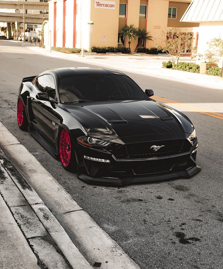 only_mustangs's tweet image. Clean 🤤💦