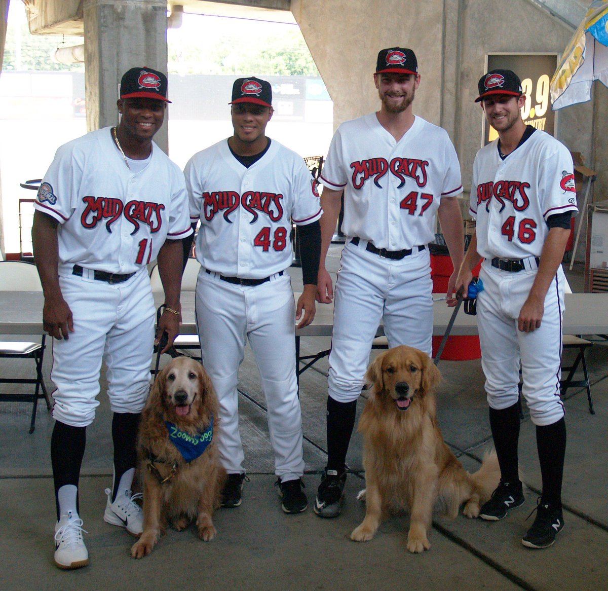 Wilson_Warbirds's tweet photo. That moment when (mud)cats and dogs are able to get along together. #MudcatsFUN https://t.co/1VgLIzPYa0