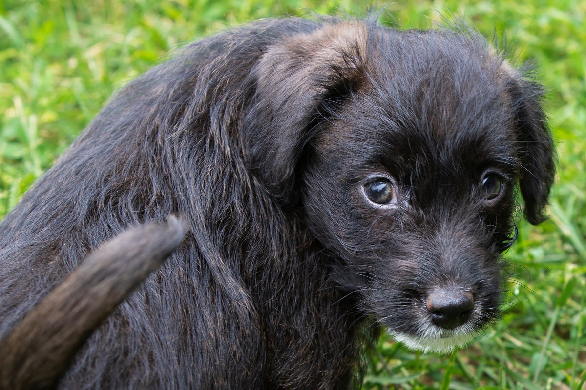 Mr.Walsh tweet media