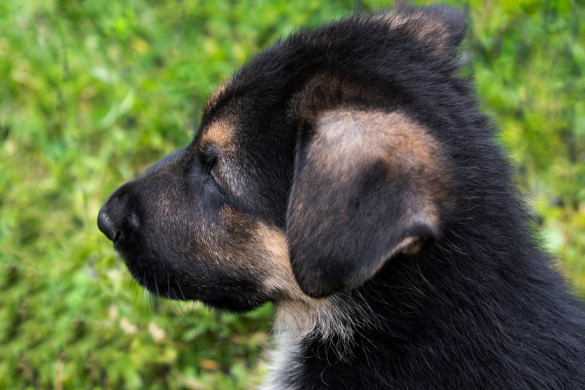 Mr.Walsh tweet media