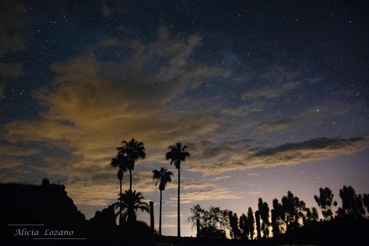 alipegaso's tweet photo. Ahí está...vía láctea tras las nubes, no es atardecer, es la 01:00 am #protegetucielo #astronomia #AstroPhotography #StormHour #sierranortedesevilla https://t.co/SOybjKXINs