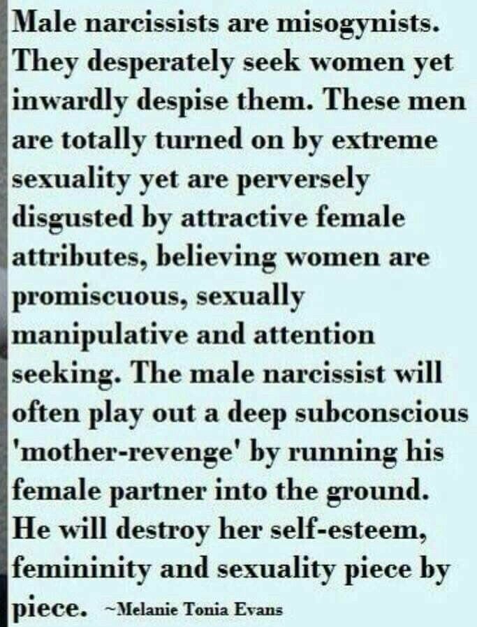 gaslight1944's tweet photo. #Male #Narcs HATE #Women! #SilentNoMore https://t.co/g5iIaxOcPU