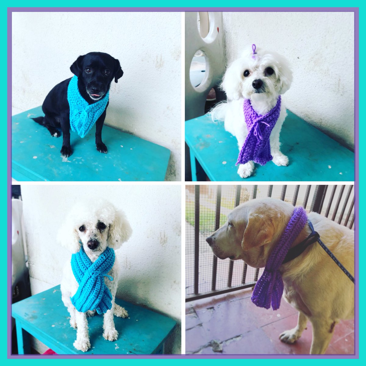 Landvet's tweet photo. Chalinas para #otoñoinvierno2018 https://t.co/1QjMcZWT5O