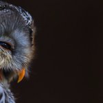 Photo by Лучшие фотографии (@BestFotoRu)