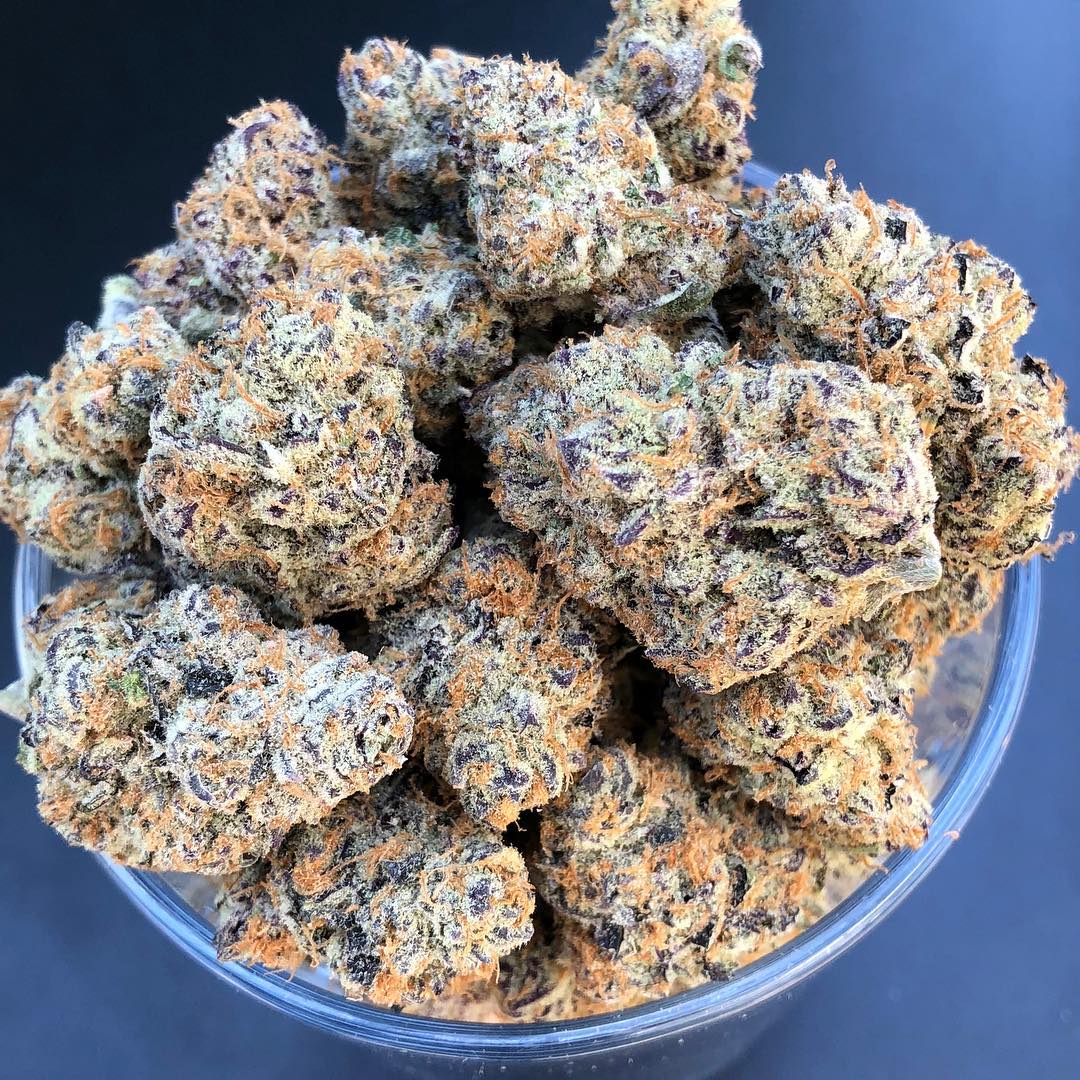 HerbalCenterDen's tweet photo. Limited drop of the very popular, exotic #PurplePunch 🍇🥊 on our rec shelves now at The Herbal Center in Denver (Peoria Location). This might be the most fruity, frosty and hottest strain out right now. 🍇🥊💥😈 @theclearwatergroup @clearwaterbuds @theherbalcenterforyou https://t.co/QSNgfCDybe