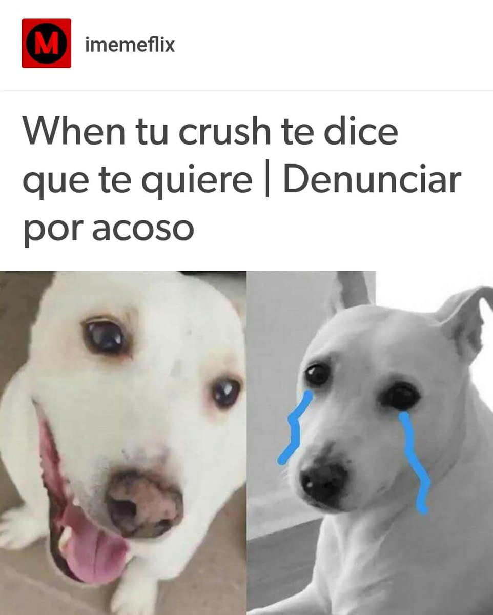 marceequintana's tweet photo. 😭😭 https://t.co/m47ojcugr9