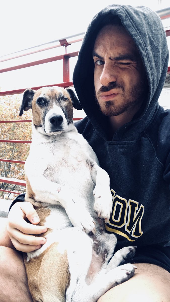 Federico Bal tweet media