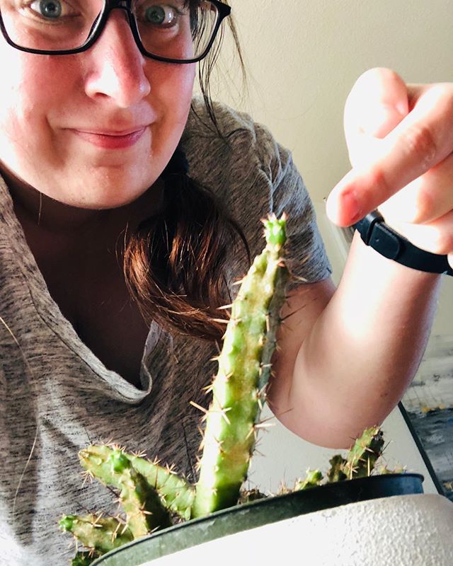 🙌🏻 my cactus finally has some new growth! ..
..
#houseplants #cactus #selfie #hellosunday #plantnerd #plantsofinstagram #photooftheday #cheerstohouseplants ift.tt/2sNOQna