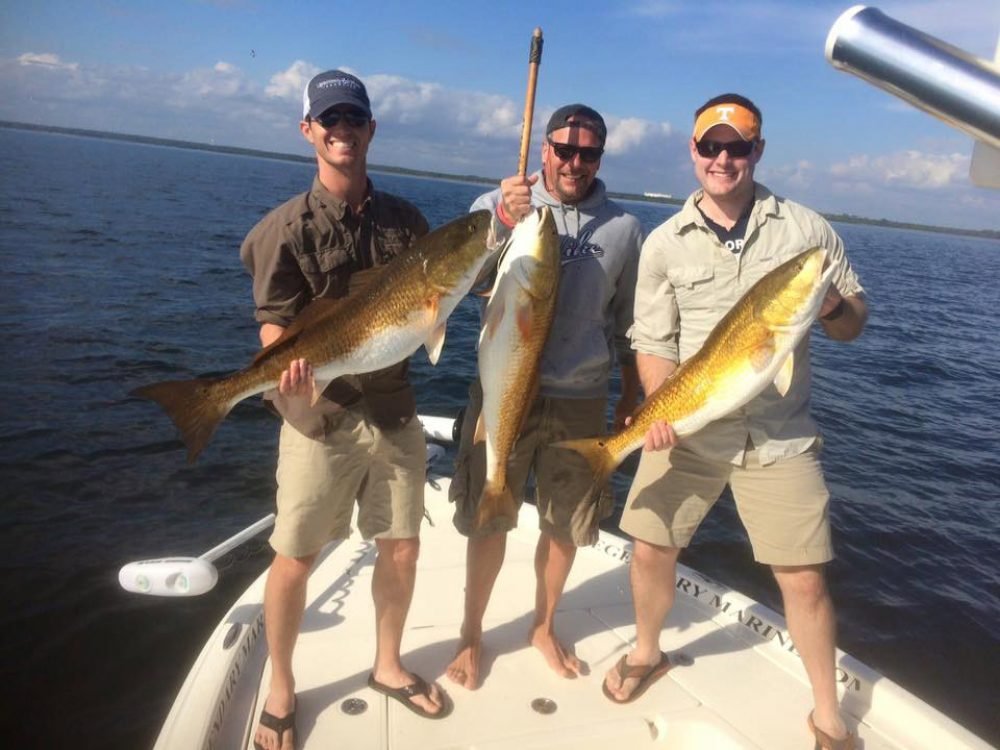 You want a great Charter Fishing experience? Check out the fishing pros at Panhandle Fishing Charters! buff.ly/2sVXEa2